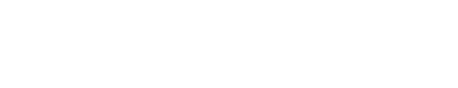 Medjet